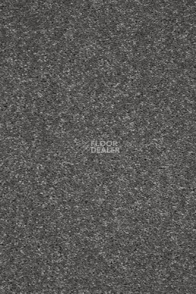 Ковролин AW Invictus Atticus Atticus 96 фото 1 | FLOORDEALER